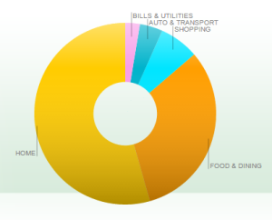 My February spending, visualized by Mint.com